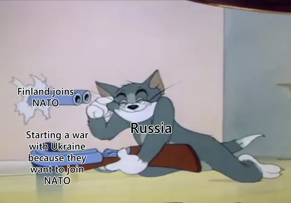 Finland joins NATO: What Are the First Consequences?